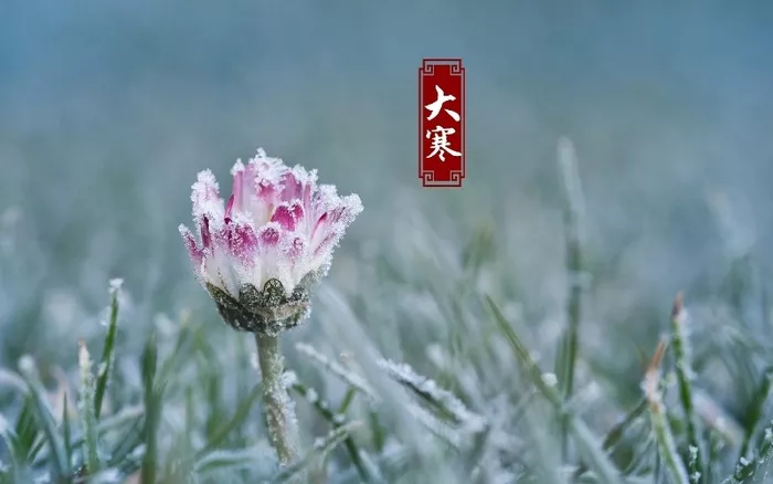 文章附圖